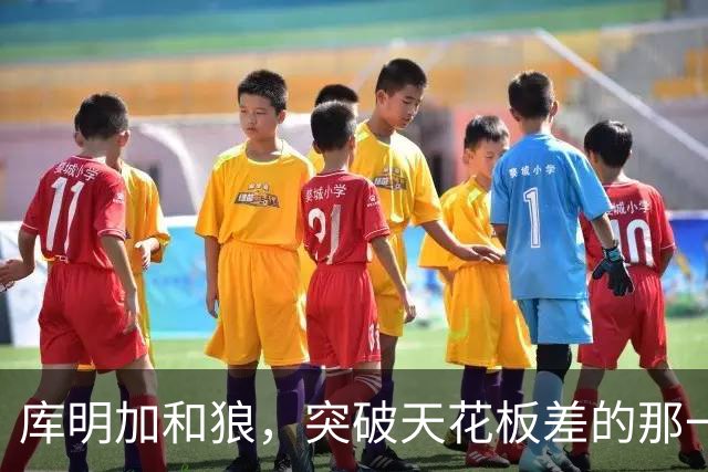 库明加和狼，突破天花板差的那一点距离