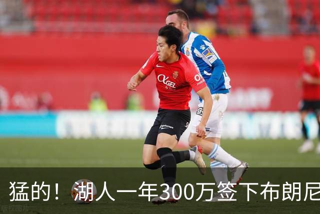 猛的！湖人一年300万签下布朗尼大哥！